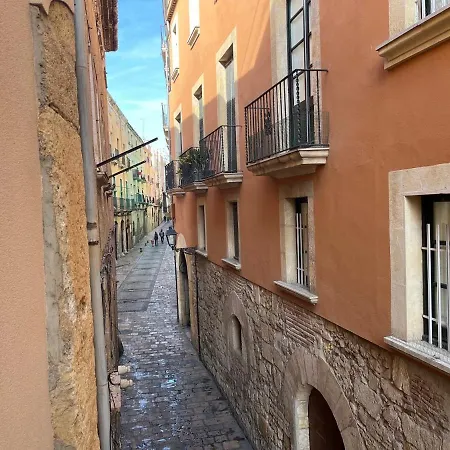 Apartamento Rovellat Casco Antiguo