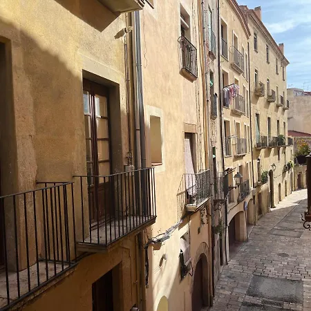 Apartamento Rovellat Casco Antiguo